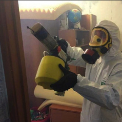 Уничтожение клопов в квартире. Фокино